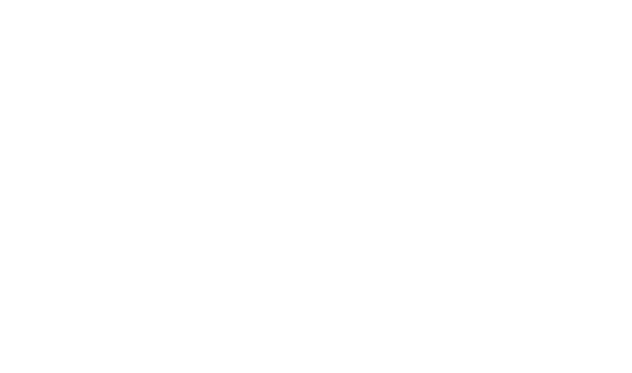 BUSINESS PORTFOLIO