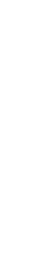 Business Directory 