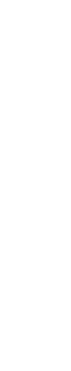 Business Directory 
