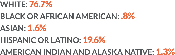 WHITE: 76.7% BLACK OR AFRICAN AMERICAN: .8% ASIAN: 1.6% HISPANIC OR LATINO: 19.6% AMERICAN INDIAN AND ALASKA NATIVE: ...