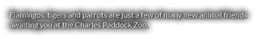 Flamingos, tigers and parrots are just a few of many new animal friends awaiting you at the Charles Paddock Zoo.