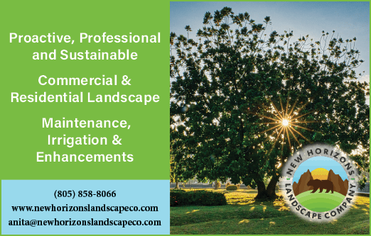 Rectangle