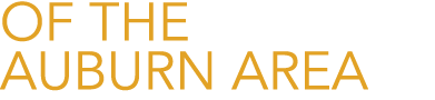 of the auburn area