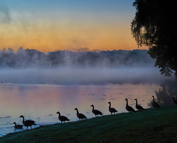 Lake Barrington Shores