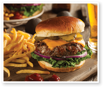 Grass Fed Bison Hamburger with Lettuce and Cheese