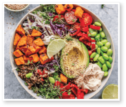 Overhead view of a colourful vegan bowl with quinoa, sweet potato, avocado, hummus and variety of veggies
