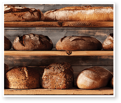 Bunch of assorted freshly baked bread loaves with different shapes and baguettes placed on shelves against wooden background in light studio