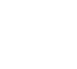 Throughout the year BACC celebrates the dreams of local entrepreneurs and business owners. Here is a snapshot of some...
