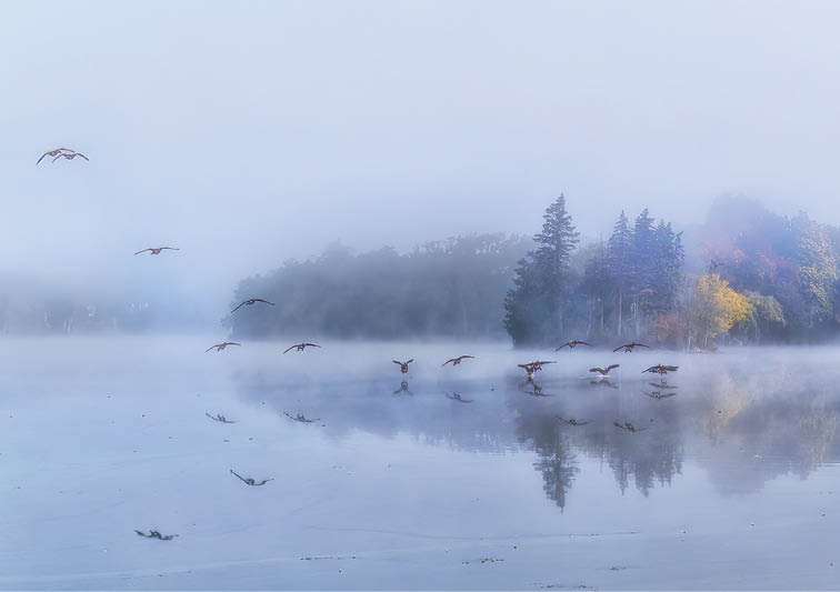 Lake Barrington Shores