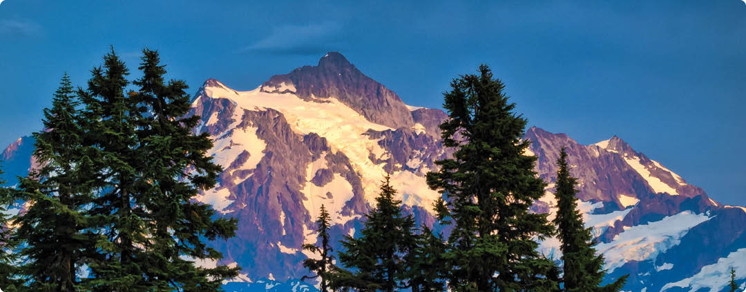 1206312 Mt. Shuksan framed by Mountain Hemlocks at sunset [Tsuga mertensiana]. Mt. Baker Wilderness Yellow Aster Butte, Glacier, WA. © Mark Turner