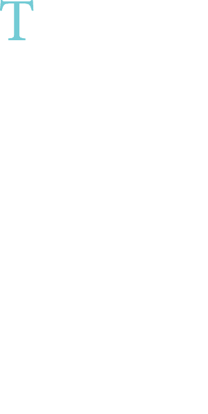 The City of Bellingham’s charter establishes a council mayor form of government. City management is led by Mayor Seth...