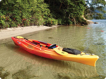 Early morning kayak.