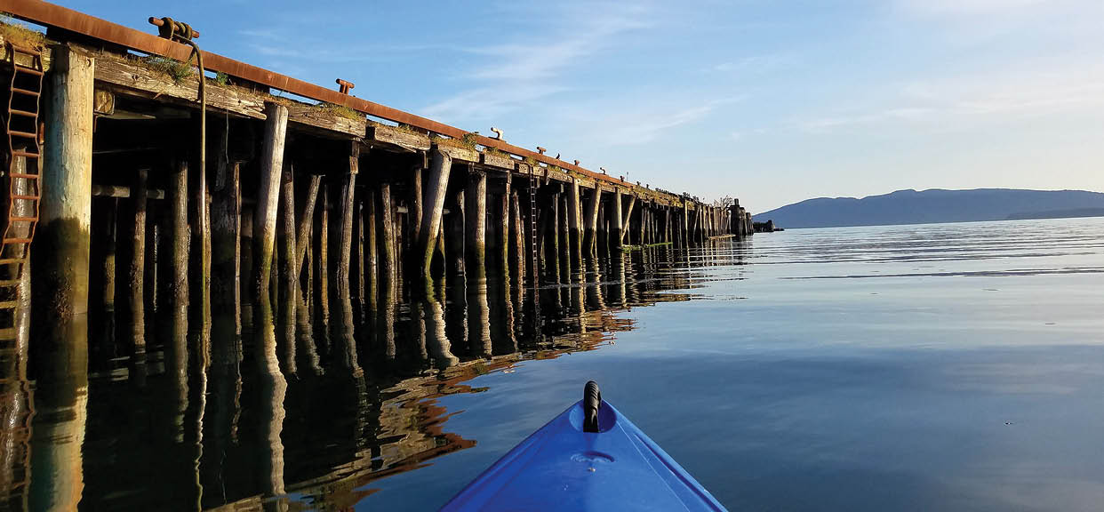 Bellingham Bay