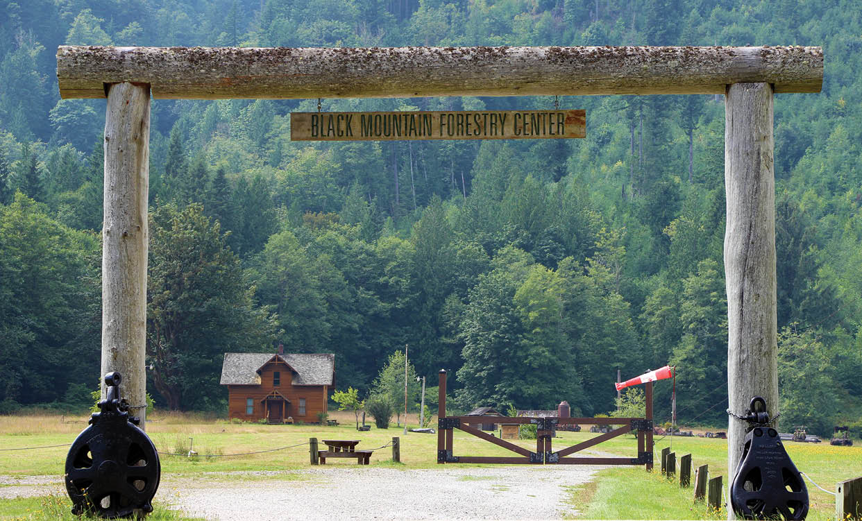 Rectangle