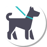 Dog walking, gray turquoise icon on a white background