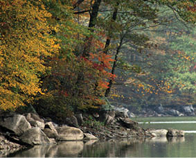 A body of water with a rocky shore and trees in the background. AI generated content
