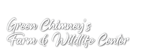 Green Chimney’s Farm & Wildlife Center