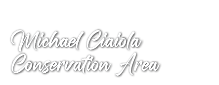 Michael Ciaiola Conservation Area