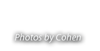 Photos by Cohen