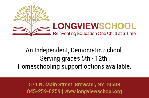 A poster advertising Longview School, an independent democratic school. AI generated content