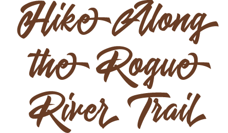 Hike Along the Rogue River Trail