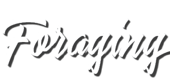 Foraging