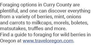 Foraging options in Curry County are plentiful, and one can discover everything from a variety of berries, mint, onio...