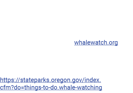 Glance out to the sea along the Oregon coast and chances are, you’ll eventually spot the unforgettable presence of a ...