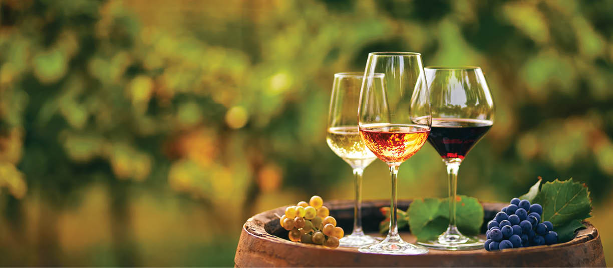 Three glasses with white, rose and red wine on a wooden barrel in the vineyard. Wide photo