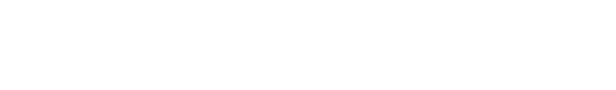 About the City Manager