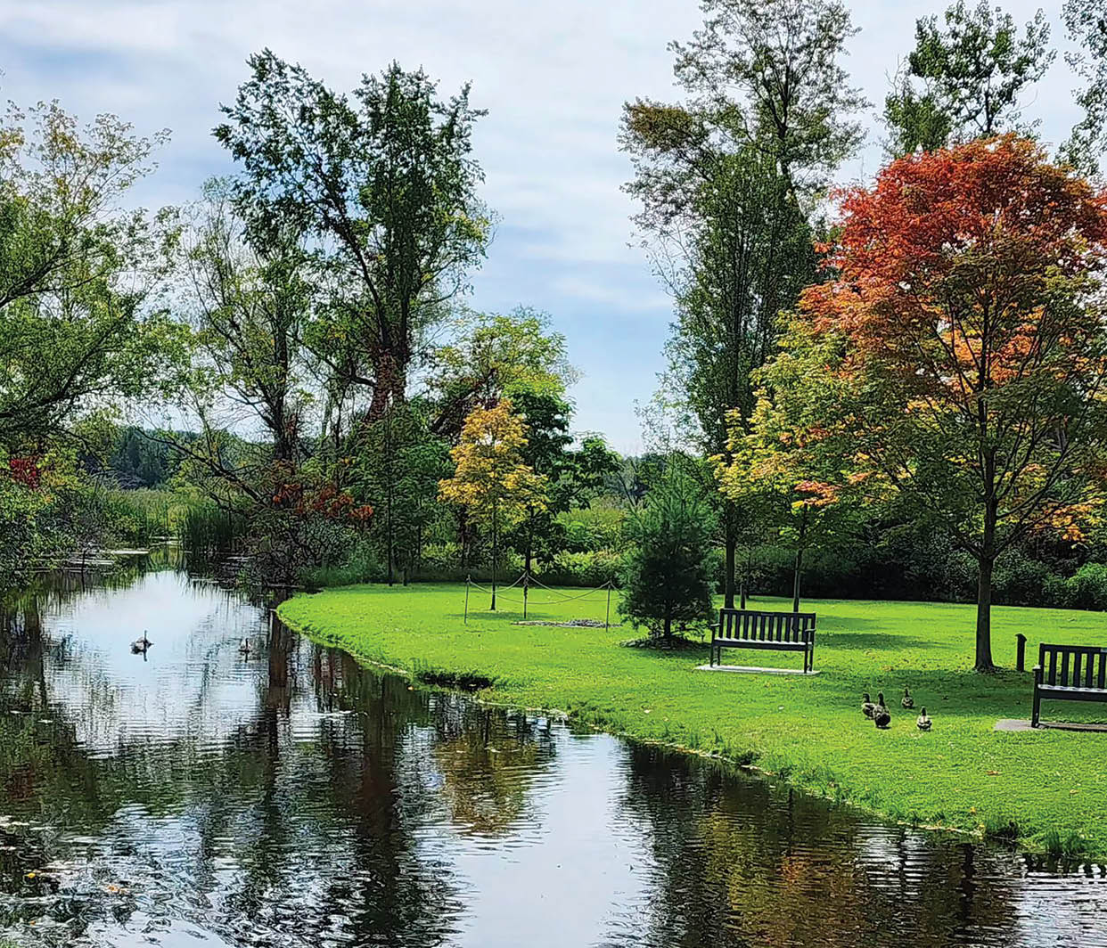 Rectangle