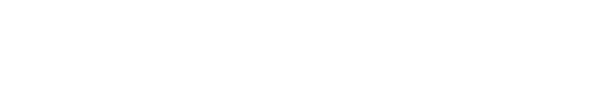 Board of Directors 2024