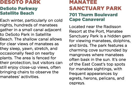 DeSoto Park DeSoto Parkway Satellite Beach Each winter, particularly on cold nights, hundreds of manatees gather in a...