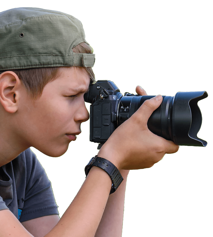 Boy, twelve years old, shooting blue butterfly on the wild flower on nature in summer day