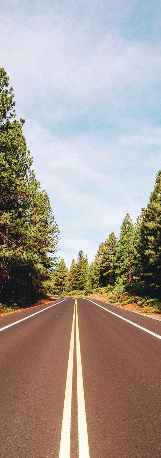 Wide angle view of an open road near Bend, Oregon with trees on either side.
