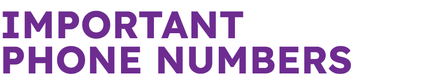 IMPORTANT PHONE NUMBERS