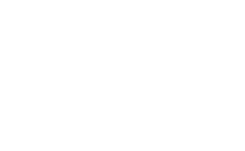  The CDAA exists to foster, promote, maintain and encourage the civic, social, commercial, tourist and economic welfa   