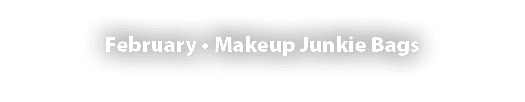 February   Makeup Junkie Bags