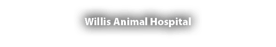 Willis Animal Hospital