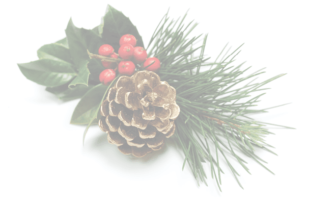 golden pine cone with holly on white background