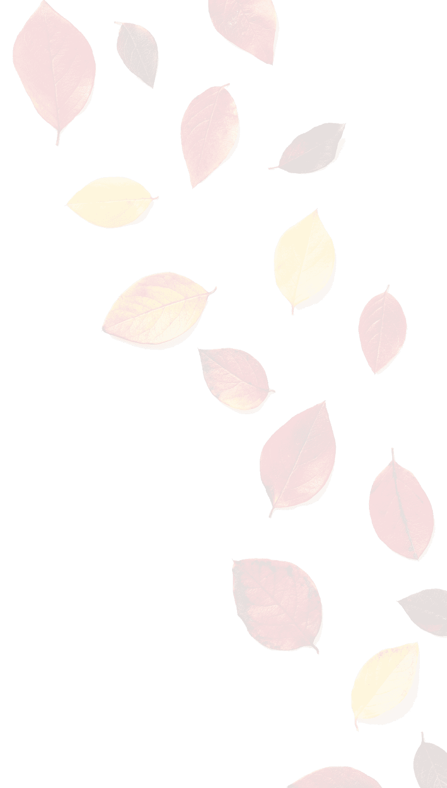 Autumn composition. Flat lay colorful fall leaves on white background. Top view, copy space.
