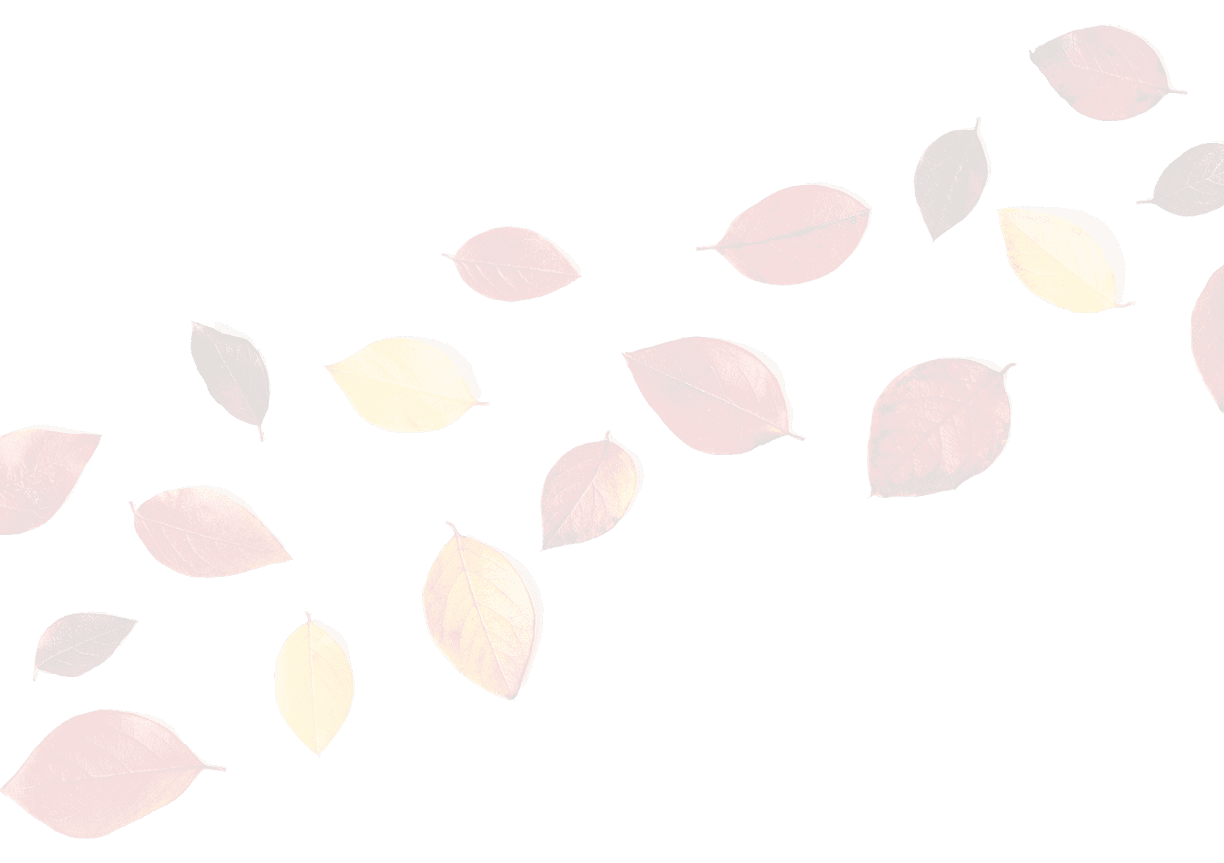 Autumn composition. Flat lay colorful fall leaves on white background. Top view, copy space.