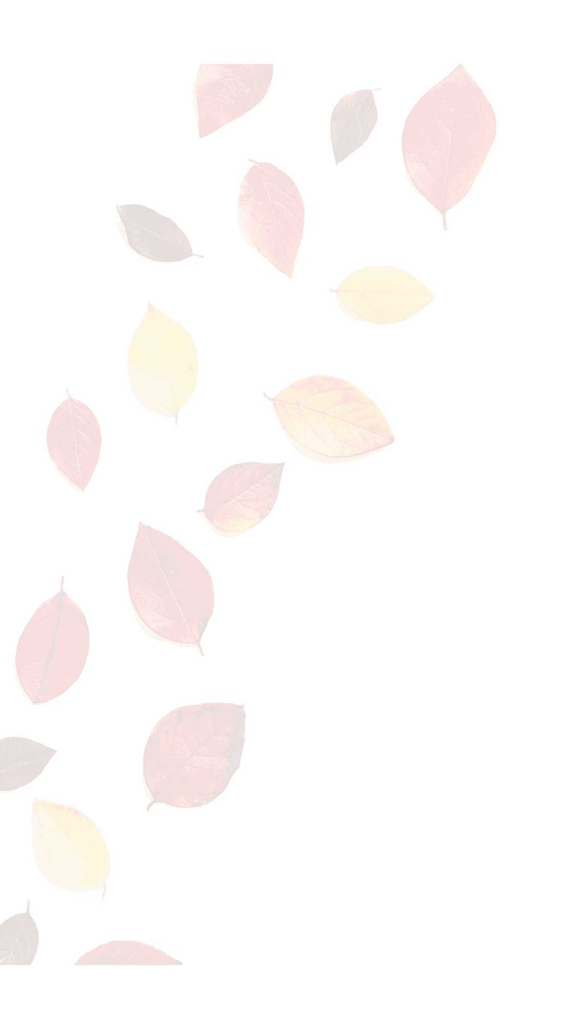 Autumn composition. Flat lay colorful fall leaves on white background. Top view, copy space.