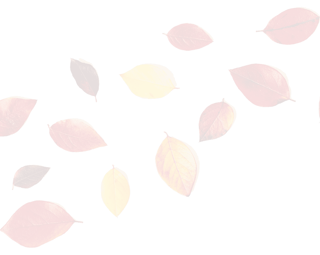 Autumn composition. Flat lay colorful fall leaves on white background. Top view, copy space.
