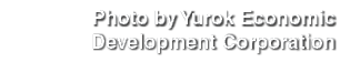 Photo by Yurok Economic Development Corporation