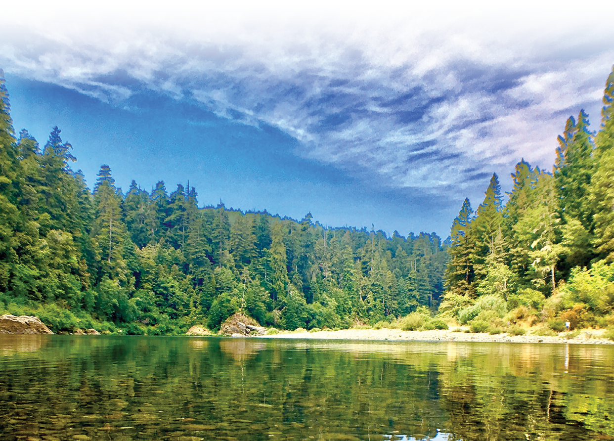 A serene lake with a rocky shore and a forest in the background. AI generated content