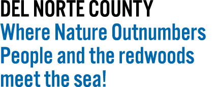 Del Norte County Where Nature Outnumbers People and the redwoods meet the sea! 