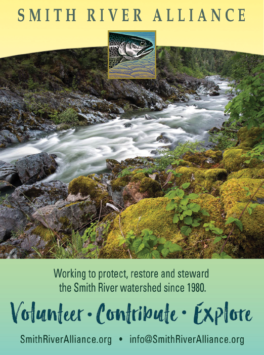 A river with a rocky shore and a green mossy bank. AI generated content