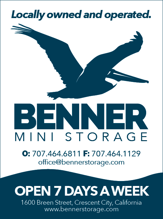 A blue and white advertisement for Benner Mini Storage. AI generated content