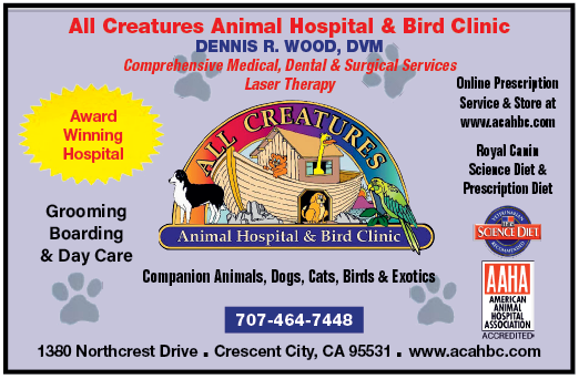 A blue advertisement for a veterinary clinic. AI generated content